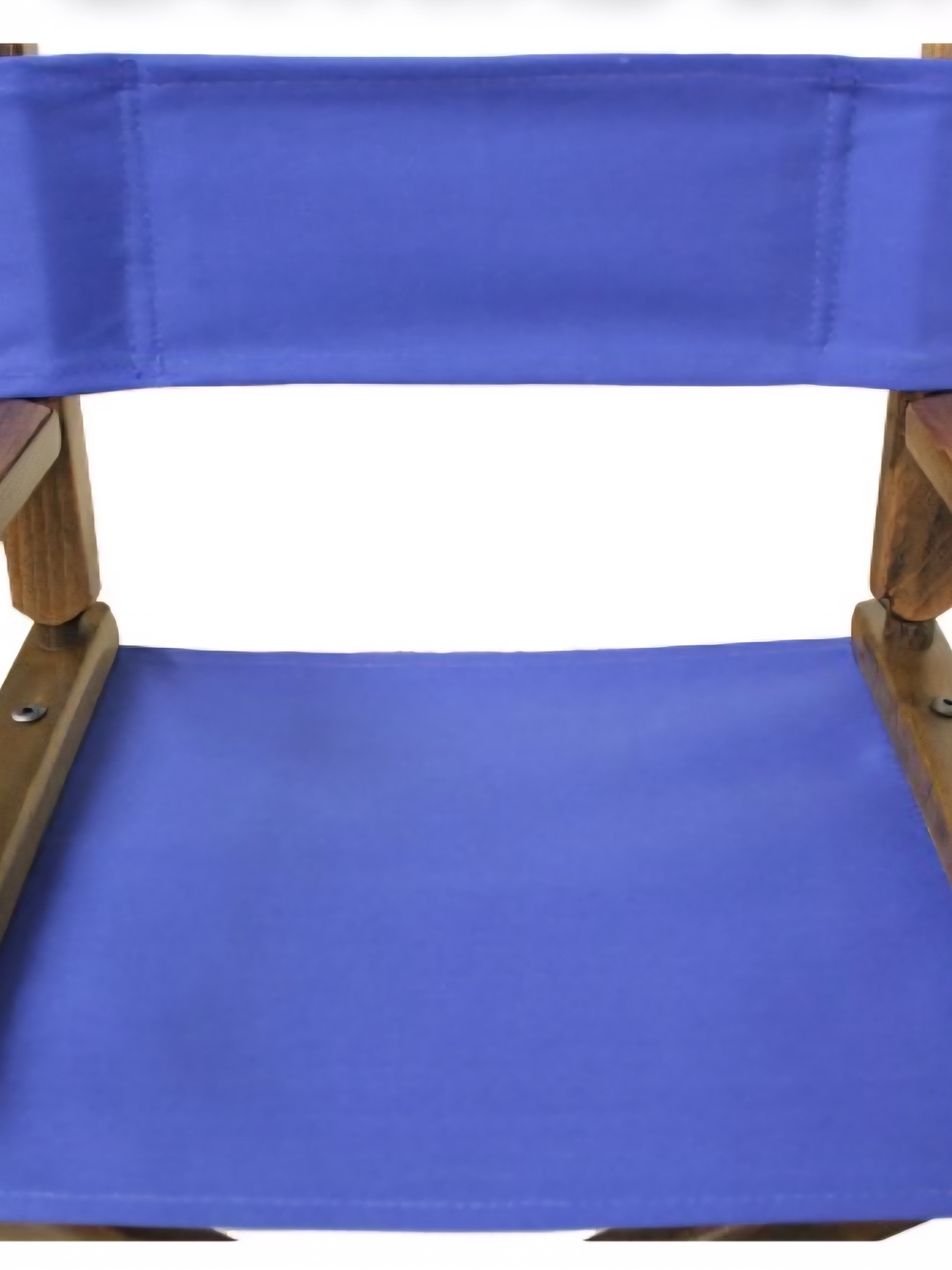 Canvases For Director's Chair
